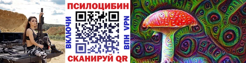 где можно купить   Пойковский  Псилоцибиновые грибы Psilocybine cubensis 